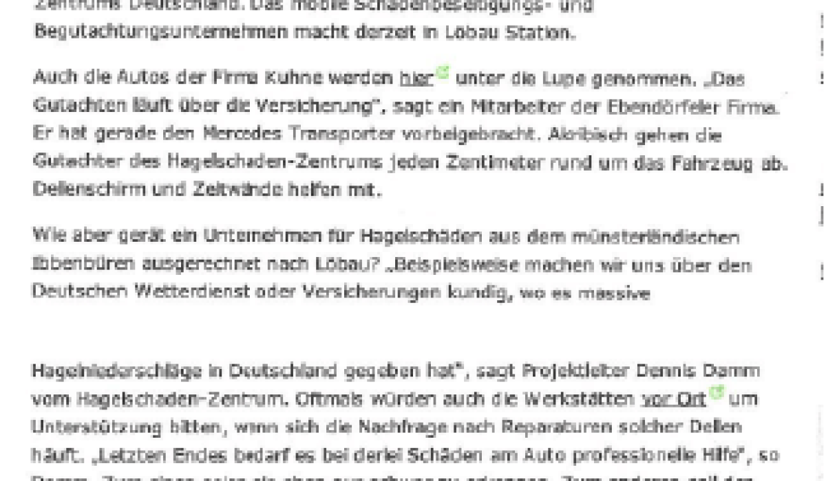 Zeitungsbericht Löbau